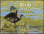 2015 Calendar